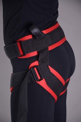 Arnes Bungee Saltarin