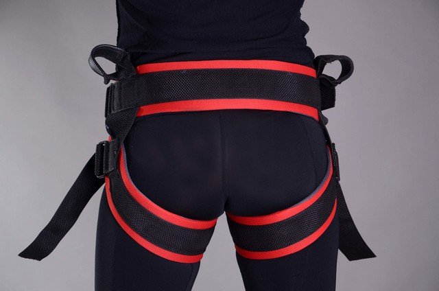 Arnes Bungee Saltarin